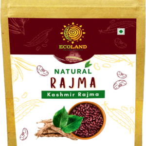 Kashmir Rajma