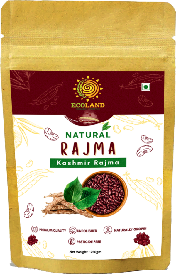 Kashmir Rajma
